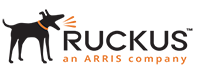 ruckus_networks_company_logo